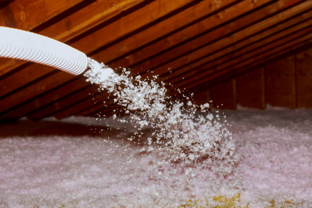 Best Fiberglass Insulation in Chisholm, ME