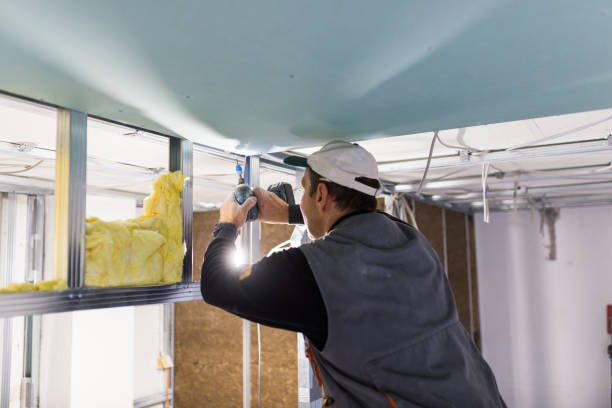 Best Geographic-Specific Insulation Services in Chisholm, ME