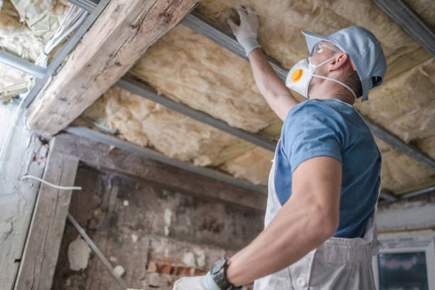 Best Specialized Insulation Services in Chisholm, ME