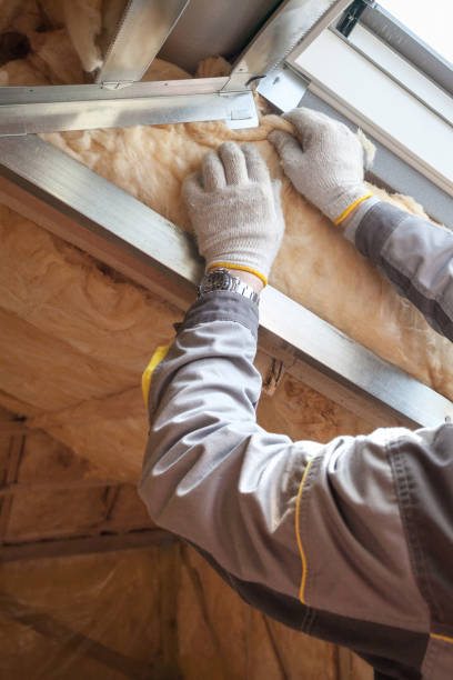 Best Blown-in Insulation in Chisholm, ME